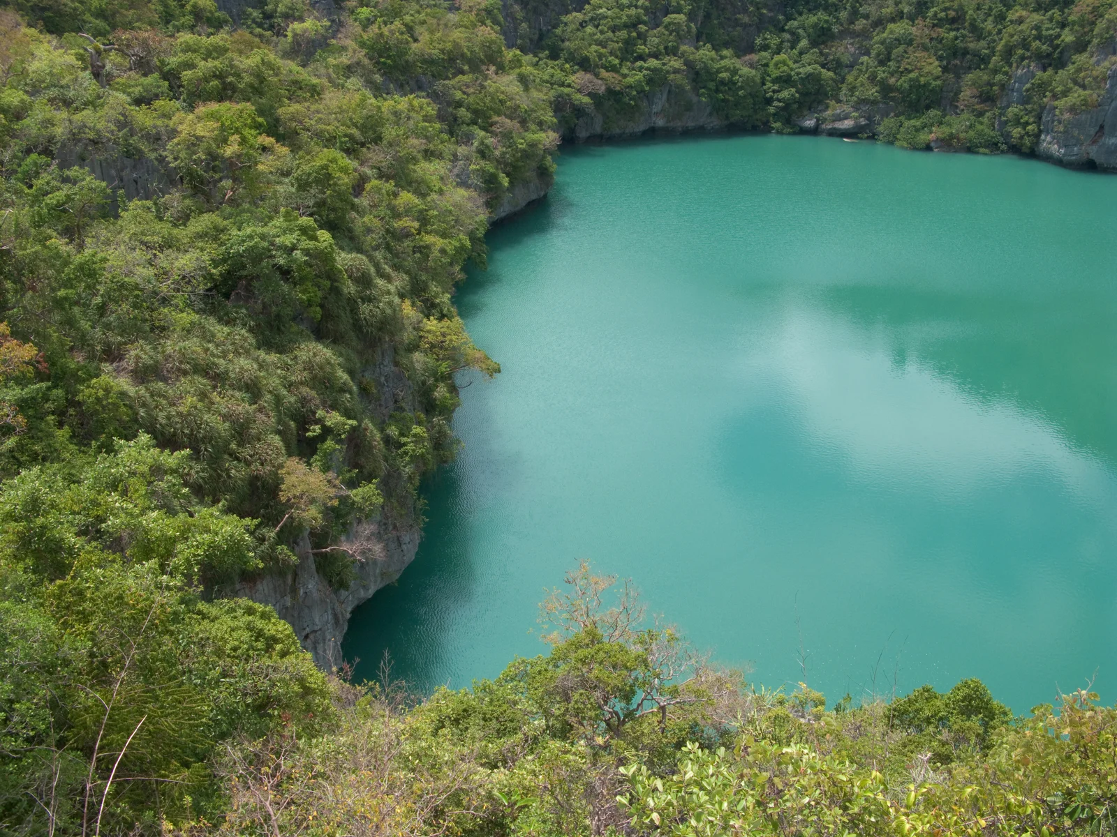 安通群島林木環繞的島內潟湖景觀