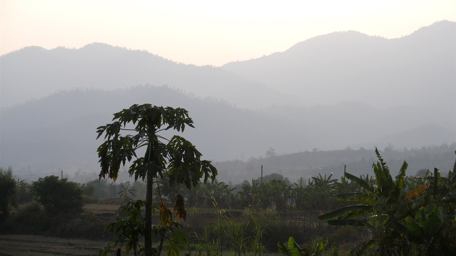 拜縣鄉間薄霧山巒、田地與香蕉樹，為目的地情境照而非 Pai Village、Ai Pai 或 Reverie Siam 的住宿實景