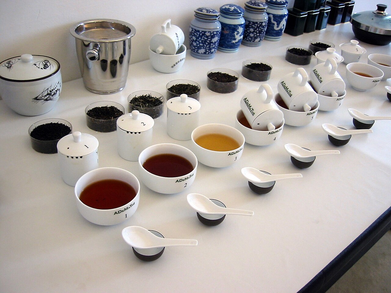 桌上排列的茶杯和品茶用具，作為茶感官活動的一般示意