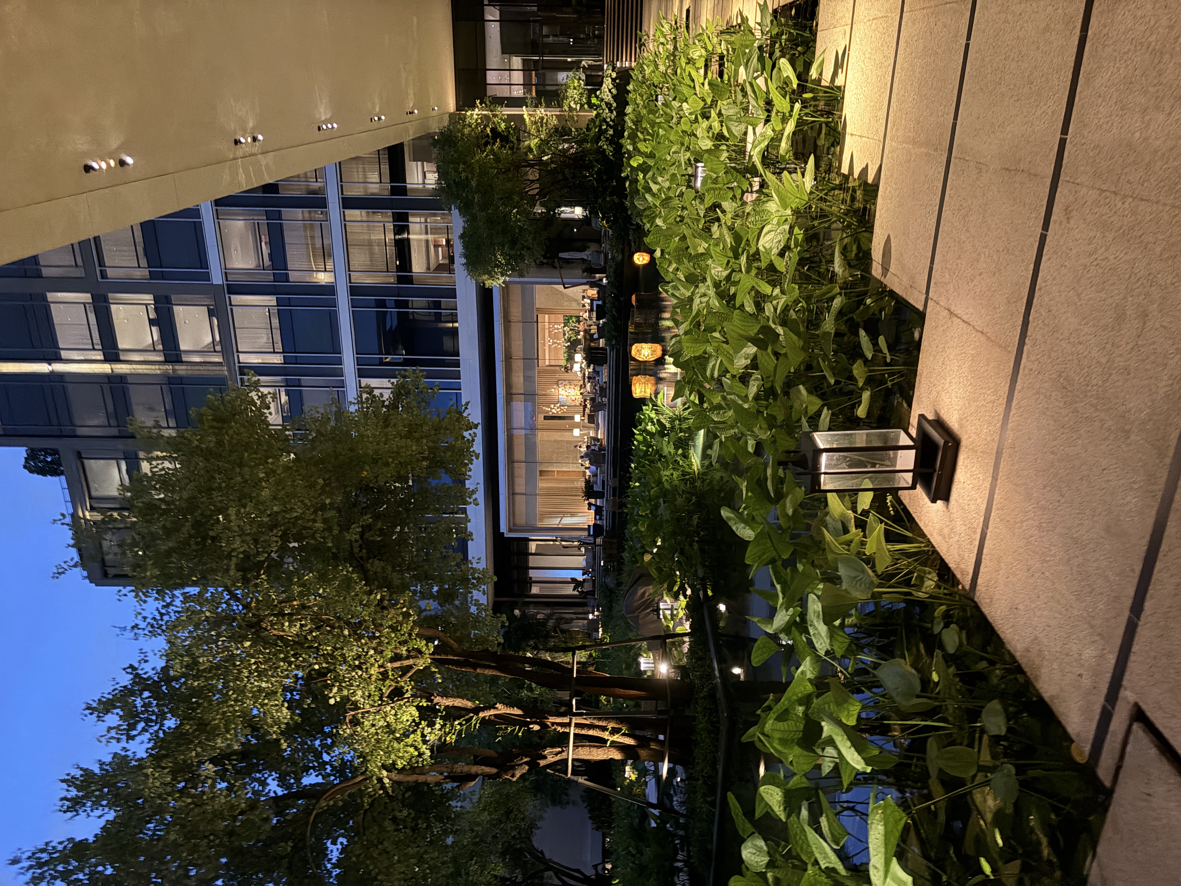 曼谷四季酒店中庭池塘與景觀庭園的夜景，為飯店實景照片