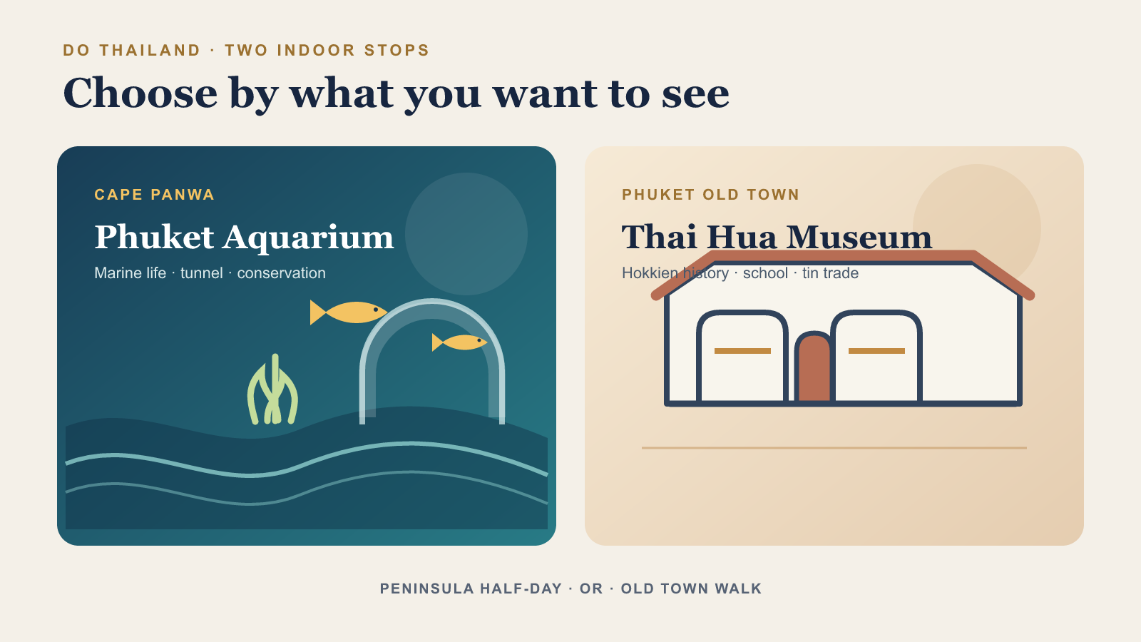插畫對照潘瓦角普吉水族館的海洋生物展區與普吉老城泰華博物館的歷史建築。