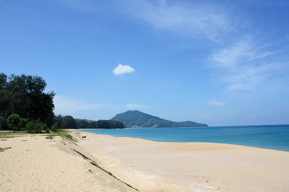 奈揚海灘的沙岸與樹蔭，遠處可見海灣山影
