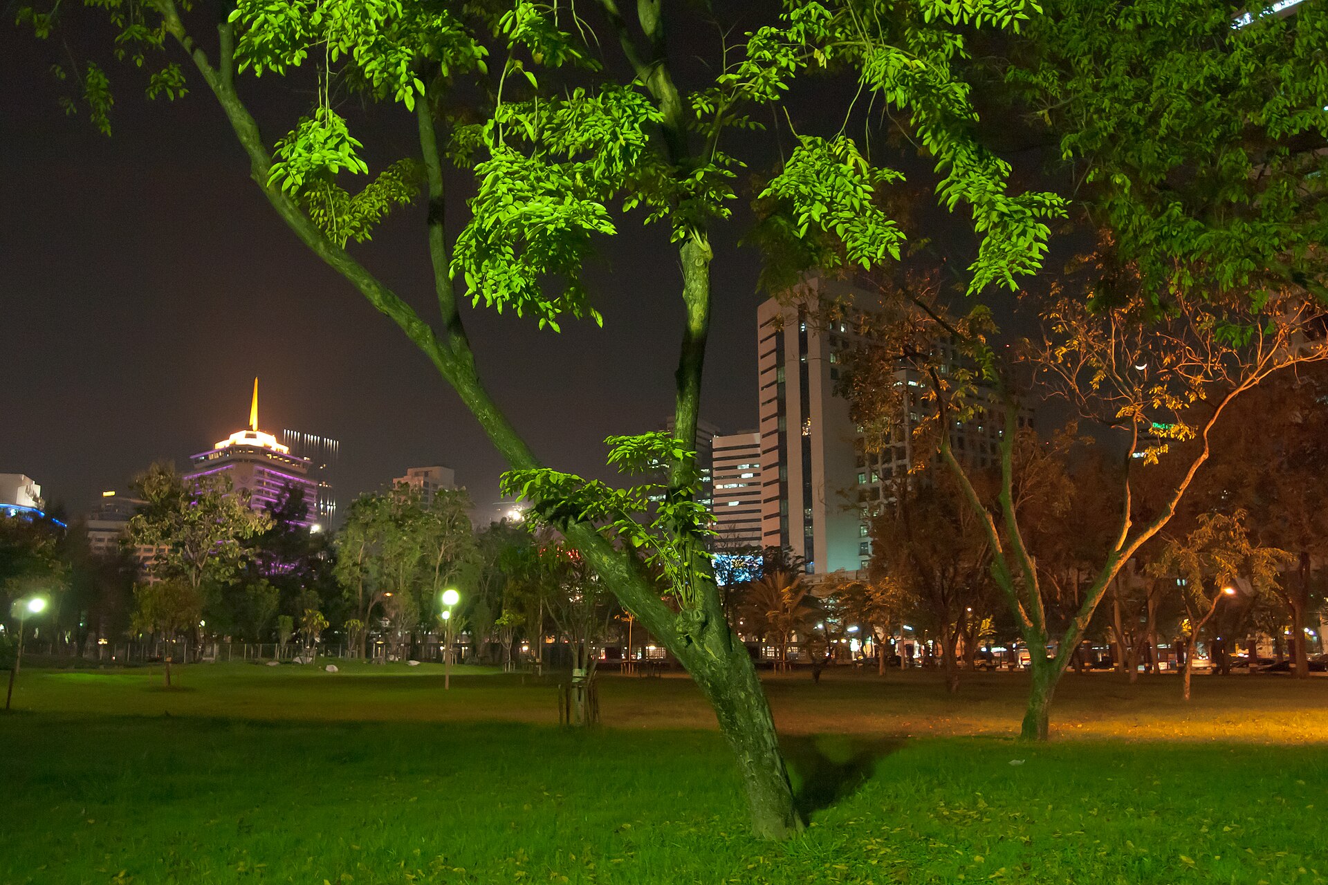 夜間的倫披尼公園,樹林後方可見曼谷市區大樓;地區情境照,並非 Okura Prestige 或 Dusit Thani 的飯店景觀