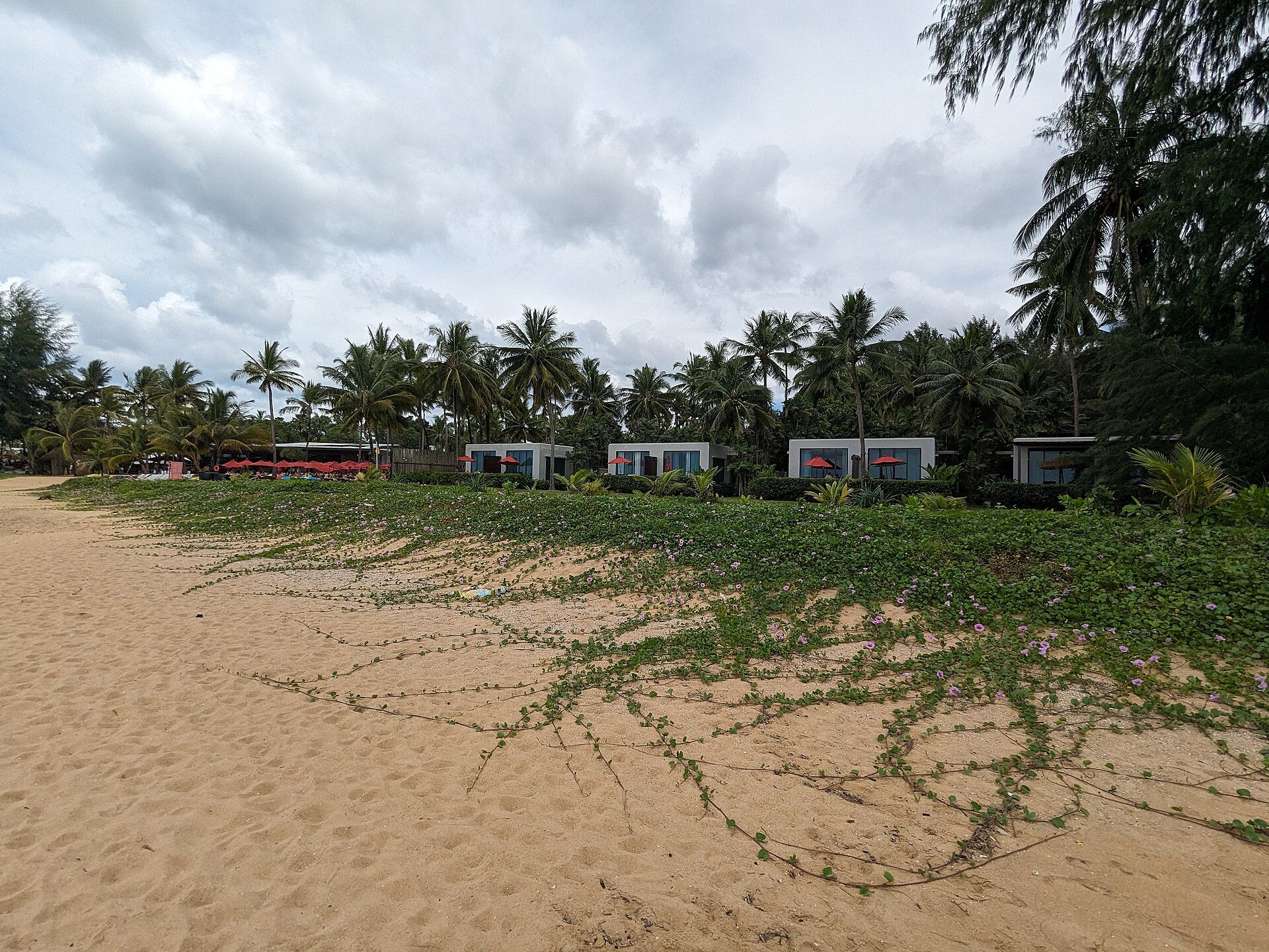 拉瑪達考拉度假村邦娘海灘前的沙地、植被與低層建築；並非 Deluxe Lanai 或 Deluxe Oasis 客房照片