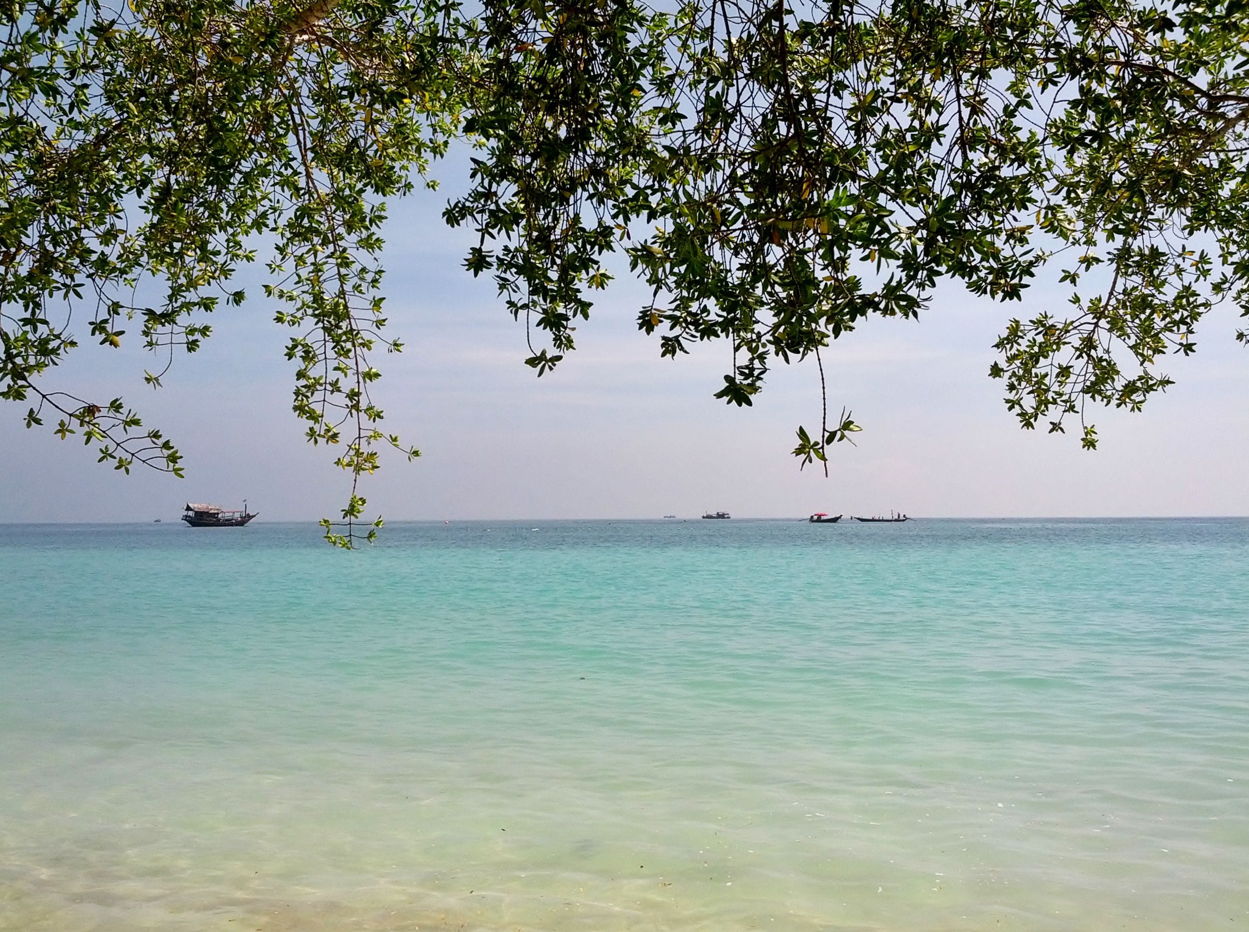 龜島鯊魚灣的淺色海面與樹蔭下船隻，作為目的地背景；不是 Cape Shark 或 Jamahkiri 的飯店照片
