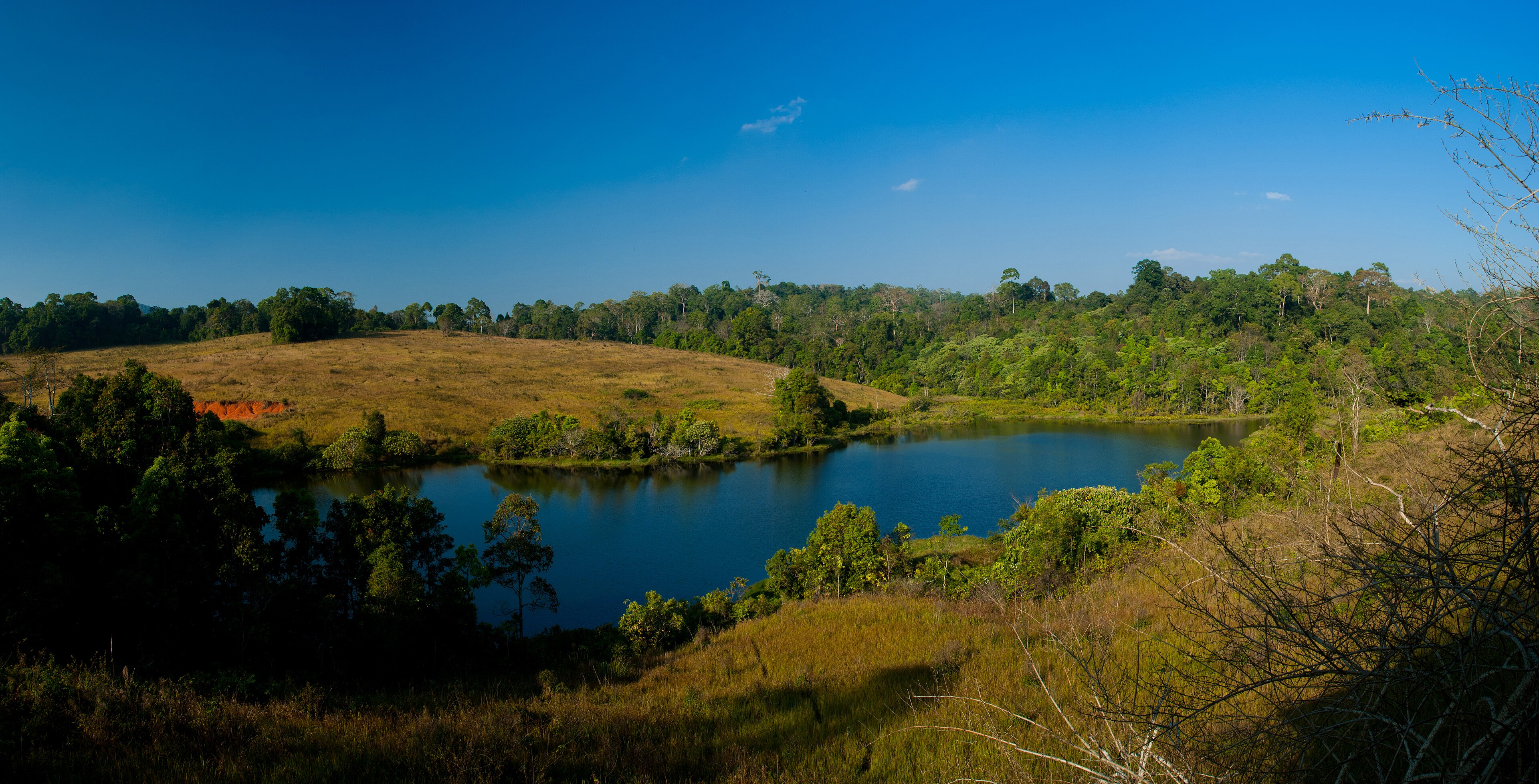 考艾國家公園 Nong Phak Chi 的草地、森林與池塘；呈現目的地環境，並非洲際或慕提瑪雅飯店實景。