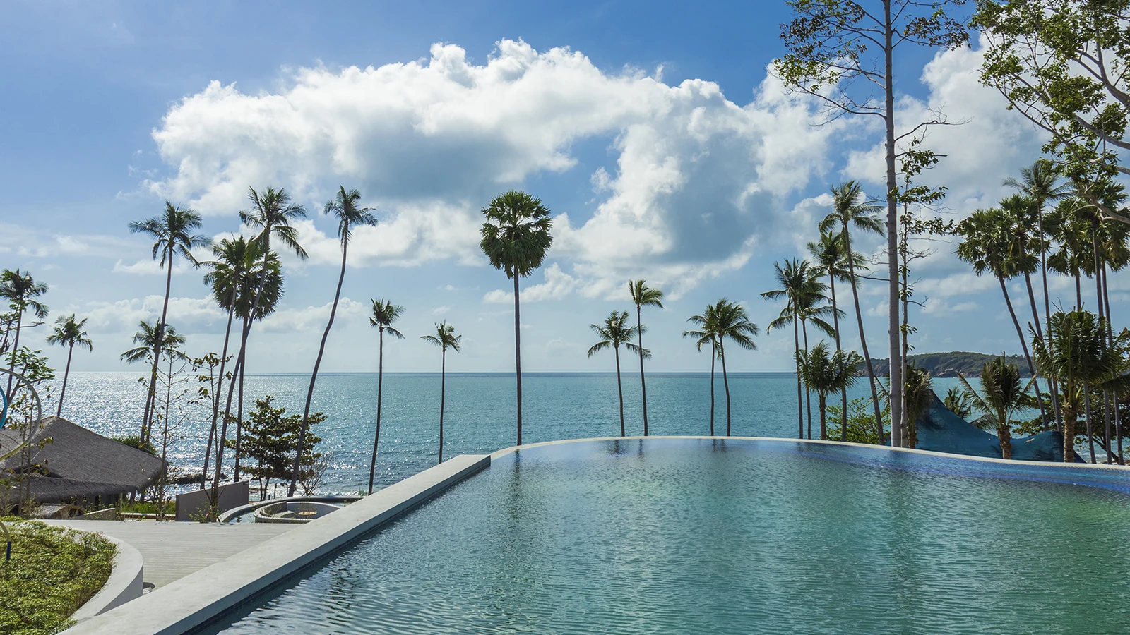Hyatt Regency Koh Samui 面海泳池與棕櫚樹