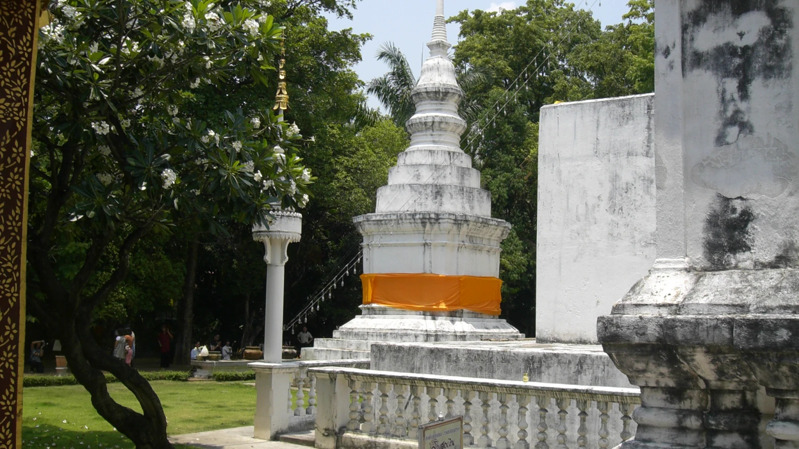 Wat Phra Singh 古城內的佛塔和寺院庭園,呈現清邁古城早晨參觀情境。