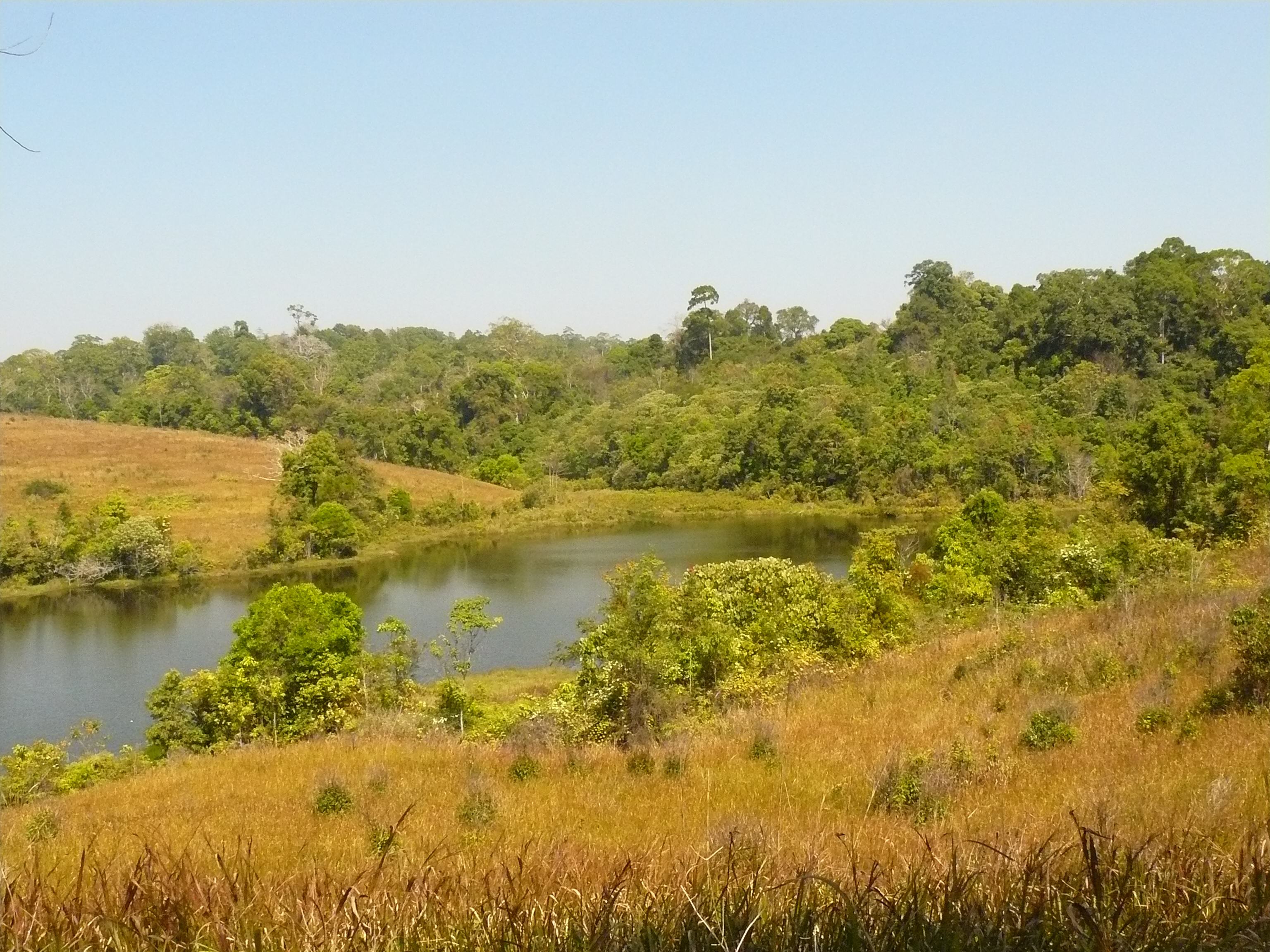 考艾國家公園區域景觀照，並非 The Series Resort 或 Thames Valley 飯店實景